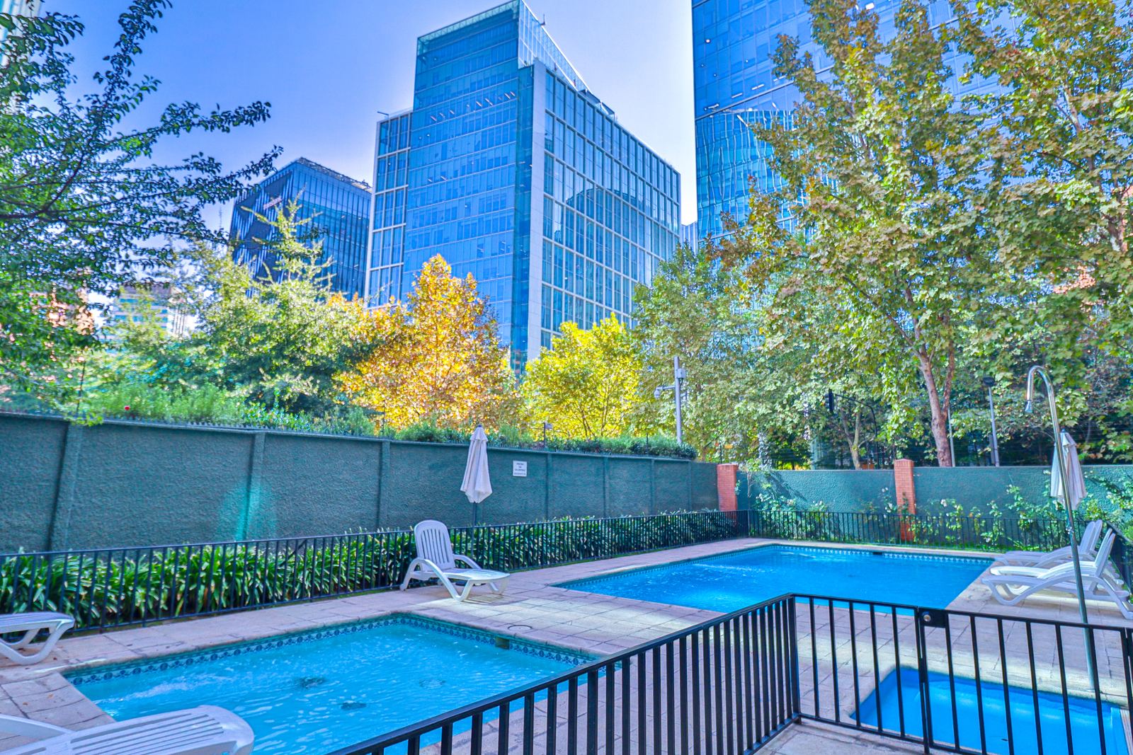 Piscina del edificio rodeada de vegetación, con torres de oficinas al fondo